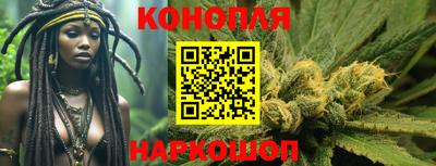 дмт Будённовск
