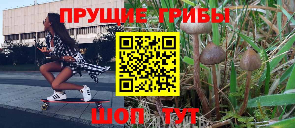 Псилоцибиновые грибы GOLDEN TEACHER  Вход с VPN  Грязи 