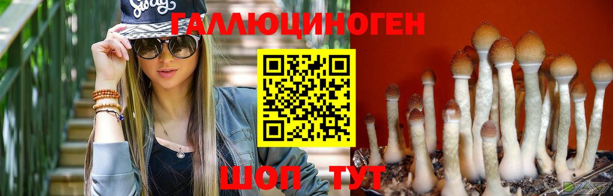 Галлюциногенные грибы GOLDEN TEACHER Грязи