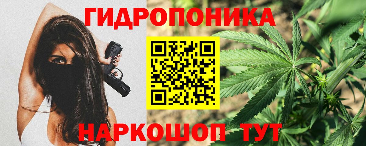 Конопля конопля Грязи