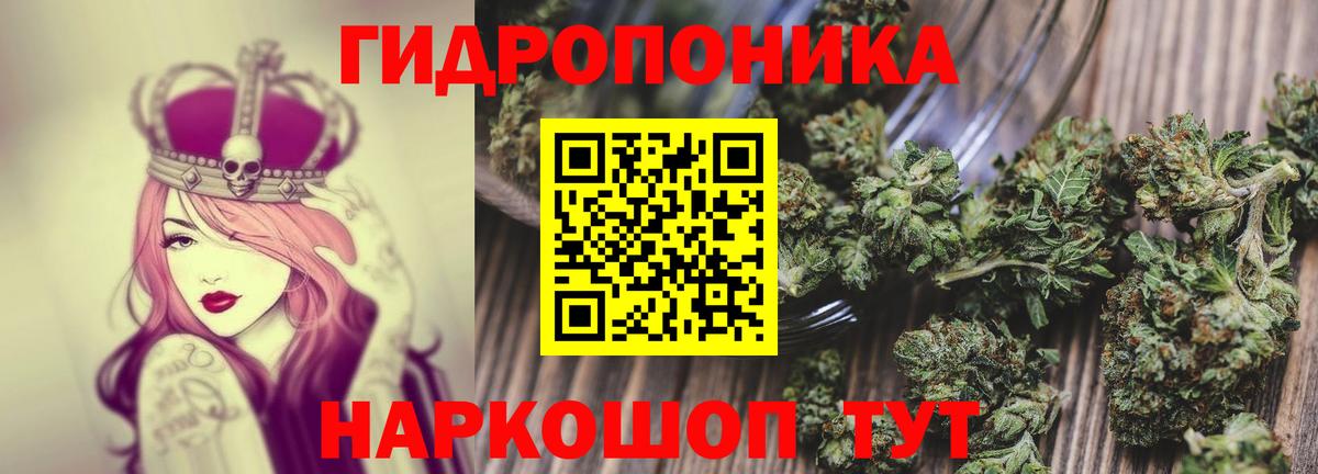 Бошки Шишки  Вход с VPN  Метадон  Грязи  Alpha-PVP СОЛЬ   ГАШИШ  Канабис  Меф МЯУ МЯУ кристаллы 